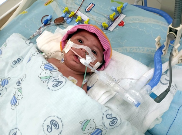 ibrahim awake ibrahim awake